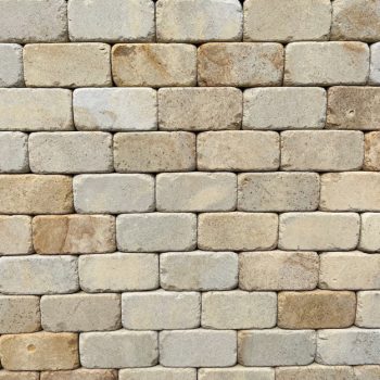 Pieskovec P1005A